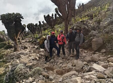 Most Reliable Kilimanjaro Climb – 6-Day Efficient Route Strategy