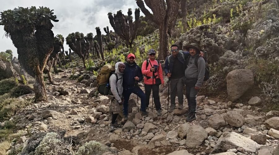 Ultimate Machame Route Experience – 7-Day Summit Master Plan: 7 Powerful Reasons to Conquer Kilimanjaro