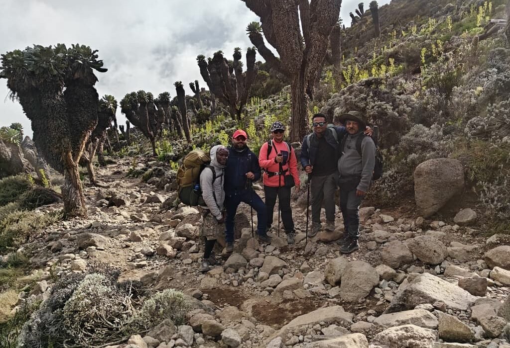 Climbing Kilimanjaro - Summit Mount
