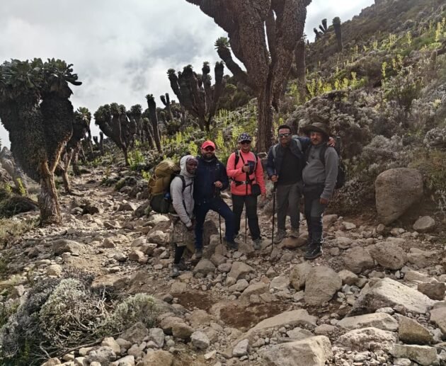 10 Days Lemosho Route Kilimanjaro High-Altitude Climb