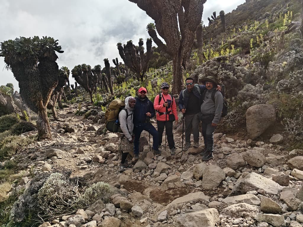 8 Days Lemosho Route – Premium Acclimatization Kilimanjaro Package | Ultimate Luxury 1 Adventure