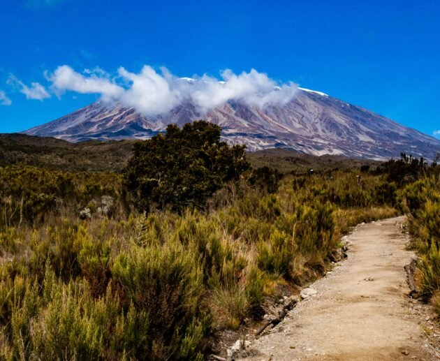 Mount Kilimanjaro Helicopter Crash – Tragic 5 Lives Lost on Africa’s Highest Peak