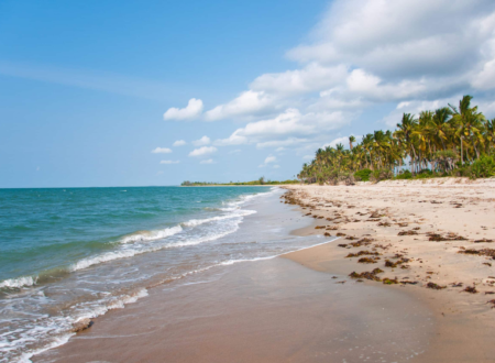 3 Days Saadani National Park Safari