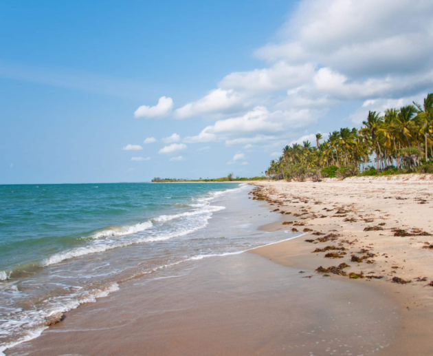 3 Days Saadani National Park Safari