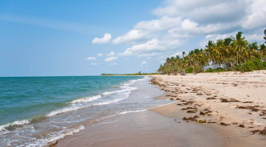 3 Days Saadani National Park Safari