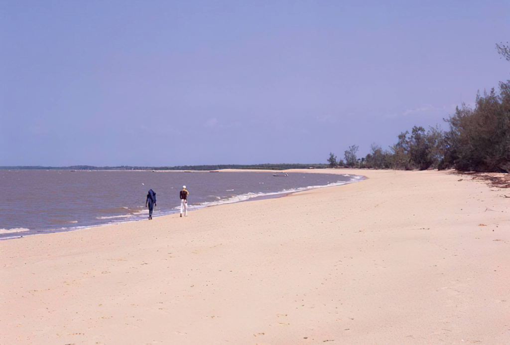 3 Days Saadani National Park Safari – 7 Powerful Reasons to Experience Where Bush Meets the Ocean