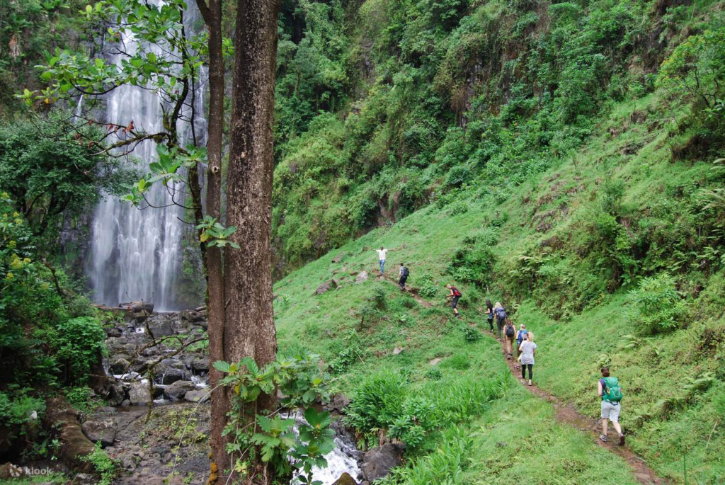 1 Day Materuni Waterfalls & Coffee Tour – 7 Powerful Reasons to Book This Local Kilimanjaro Experience
