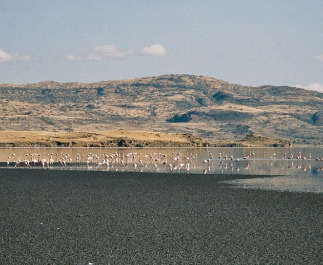 1 Day Lake Natron & Hadzabe Cultural Experience