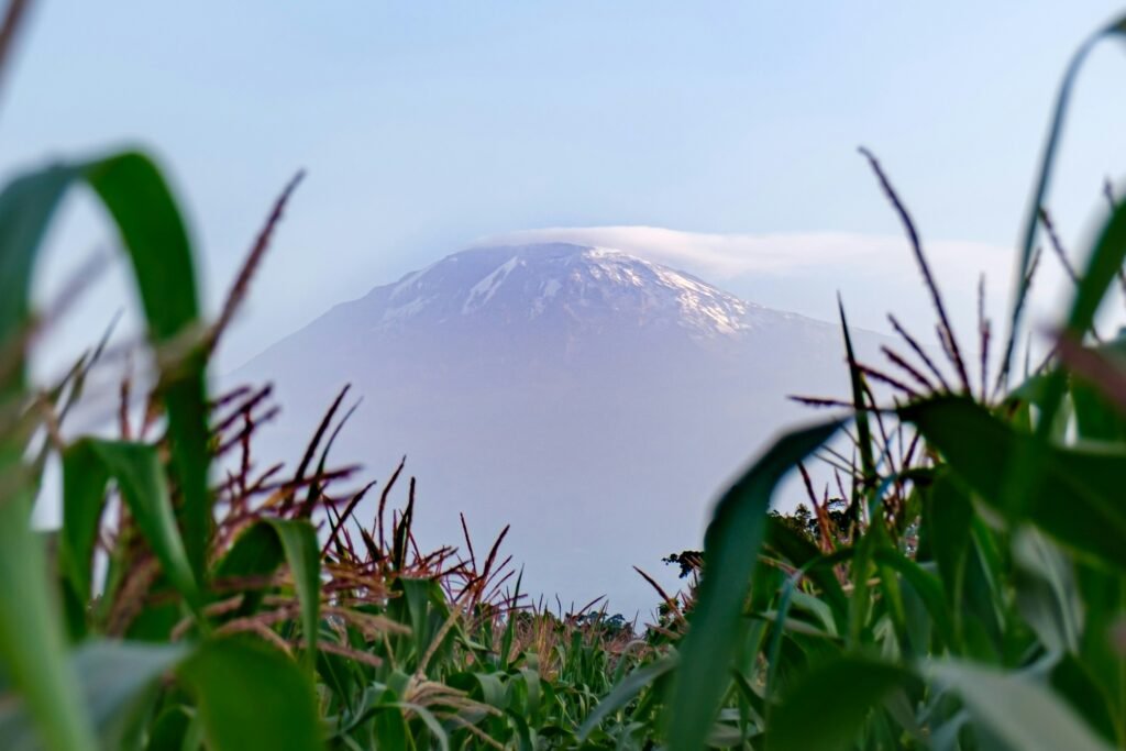 Mount Meru Climb Report: 9 Powerful Insights Every Trekker Must Know Mount Meru Climb Report: 9 Powerful Insights Every Trekker Must Know