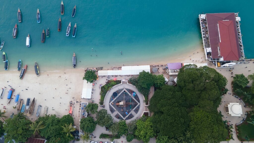 Safari Tanzanie avec séjour à Zanzibar – 6 Choix Intelligents pour une Expérience Unique