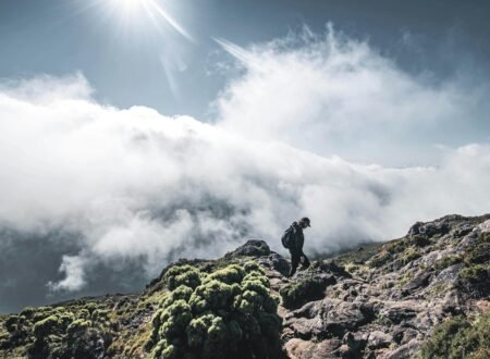 Record-Breaking Achievements on Kilimanjaro