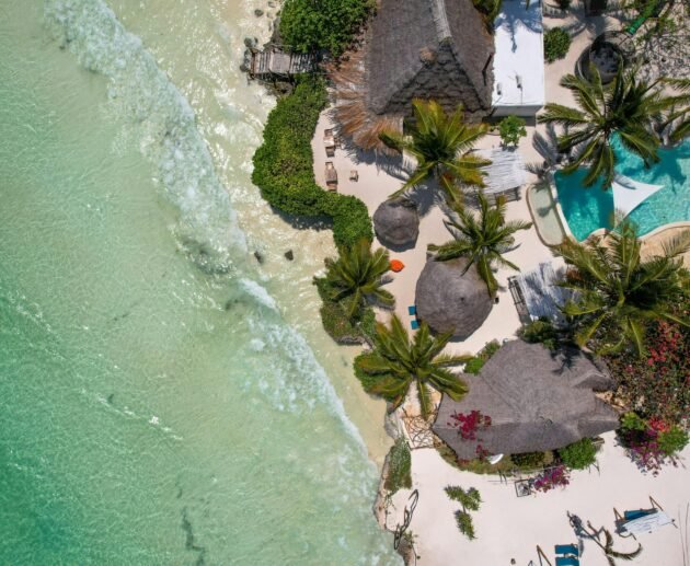 Best Beaches in Zanzibar for Wildlife Lovers