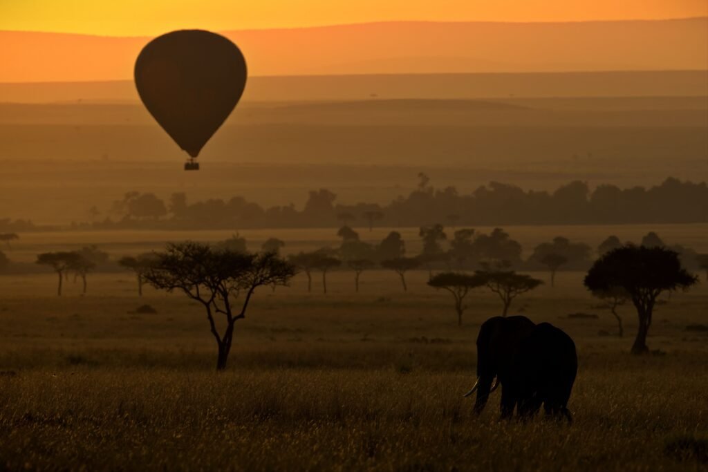 Hot Air Balloon Safari in Tanzania: 7 Powerful Things to Expect Before You Fly Hot Air Balloon Safari in Tanzania: 7 Powerful Things to Expect Before You Fly