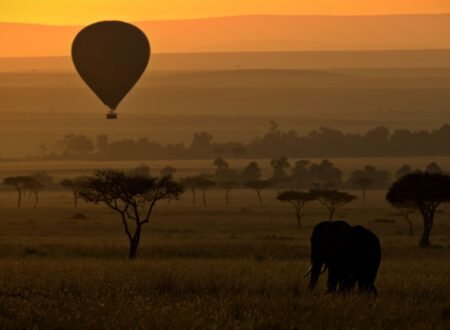 Hot Air Balloon Safari in Tanzania: 7 Powerful Things to Expect Before You Fly