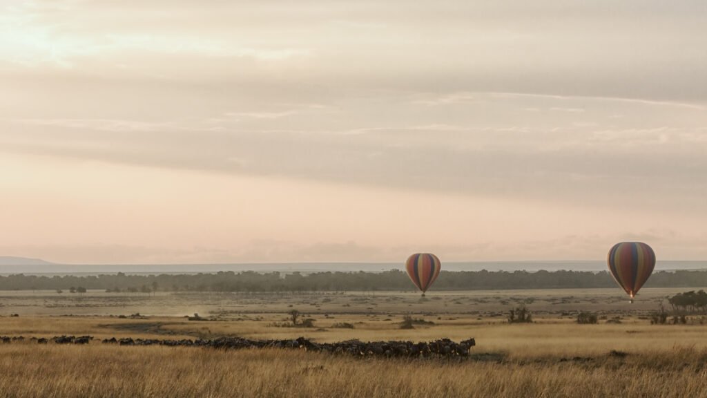 Hot Air Balloon Safari in Tanzania: 7 Powerful Things to Expect Before You Fly Hot Air Balloon Safari in Tanzania: 7 Powerful Things to Expect Before You Fly