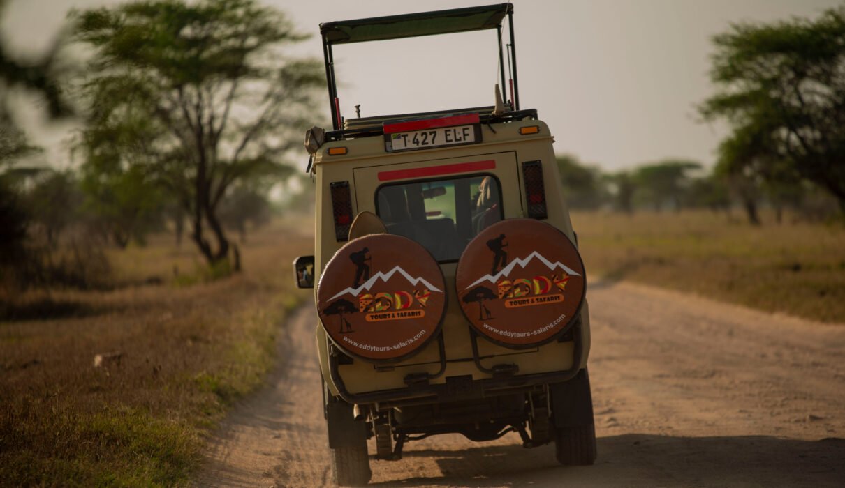 Experience 5 D/4N in Leading Africa national park is Serengeti National Park 2026 | 2027 | 2028 – Ultimate Luxury Safari Package