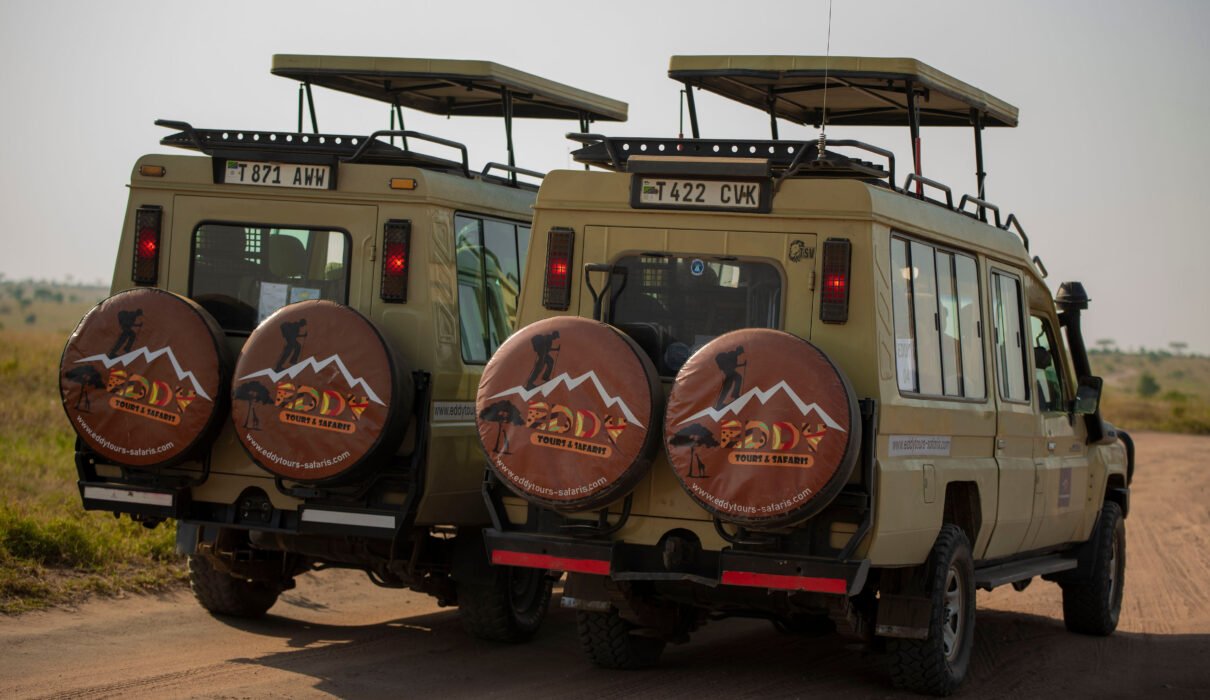 The Science-Backed Benefits of Going on a Safari 2026/2027/2028: 7 Powerful Reasons to Transform Your Mind