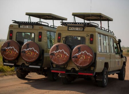 Tanzania Safari Booking Trends 2026