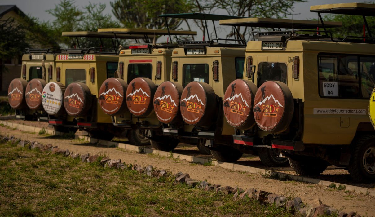 Serengeti Visitor Behavior Report 2026/2027/2028: 7 Powerful Field Insights