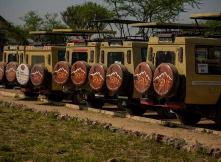 World’s Best Safari Destinations Ranked by Real Travelers 2026/2027/2028 – 7 Stunning Picks You Can’t Miss