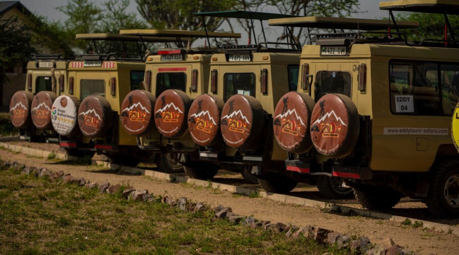 World’s Best Safari Destinations Ranked by Real Travelers 2026/2027/2028 – 7 Stunning Picks You Can’t Miss