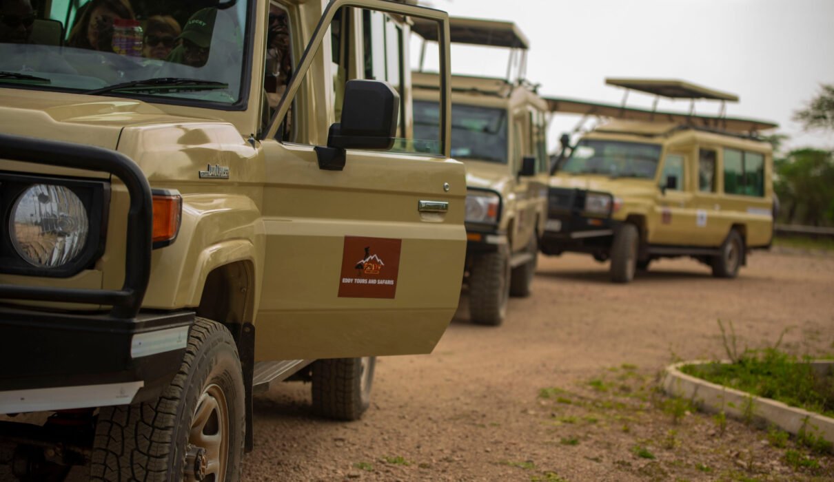 The Rise of Group-Joining Safari and What it’s Like! 2026/2027/2028 – 7 Powerful Reasons to Try It