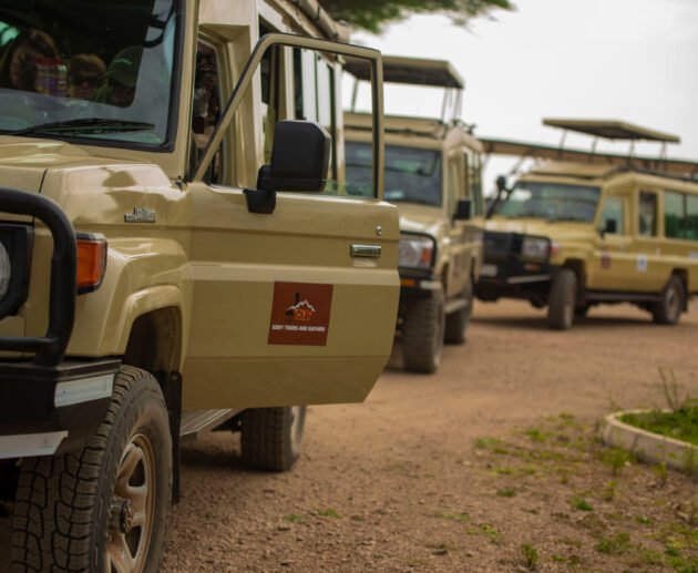 The Rise of Group-Joining Safari and What it’s Like! 2026/2027/2028 – 7 Powerful Reasons to Try It