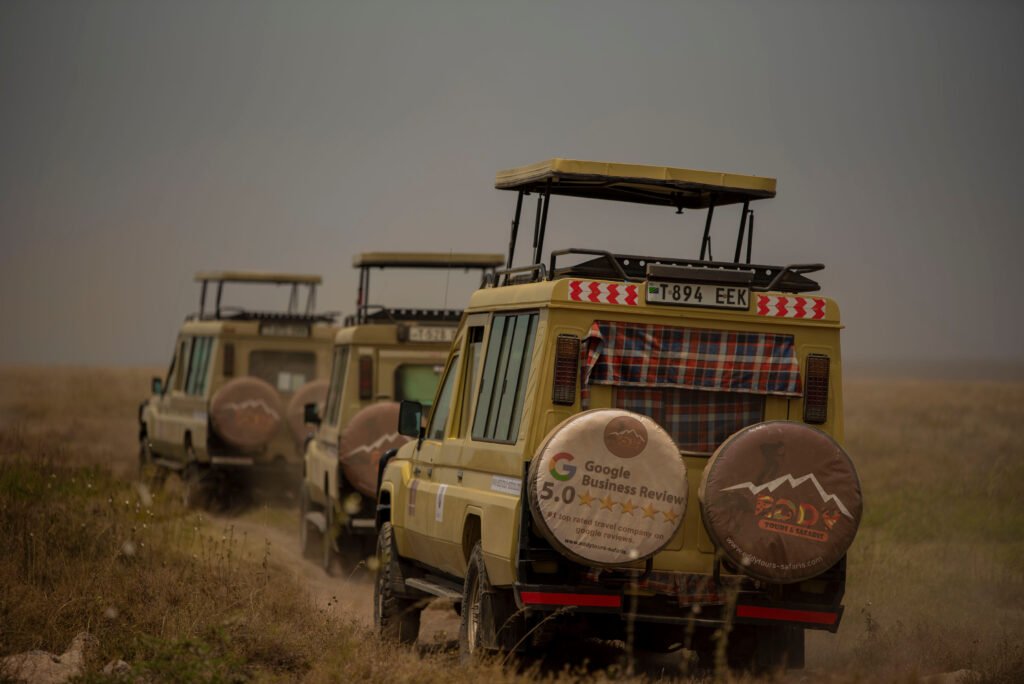 Do Animals Attack Safari Cars? Real Incidents Explained (Tanzania) 2026/2027/2028 – 7 Shocking Truths You Must Know