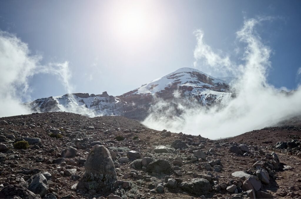 The 2022 Kilimanjaro Fire: 7 Powerful Lessons & Eddy Tours Role 2026/2027/2028