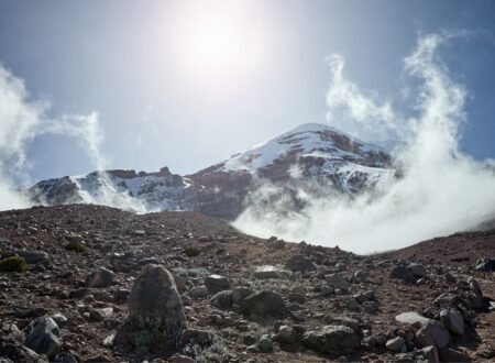 The 2022 Kilimanjaro Fire: 7 Powerful Lessons & Eddy Tours Role 2026/2027/2028
