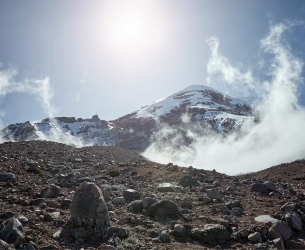 The 2022 Kilimanjaro Fire: 7 Powerful Lessons & Eddy Tours Role 2026/2027/2028