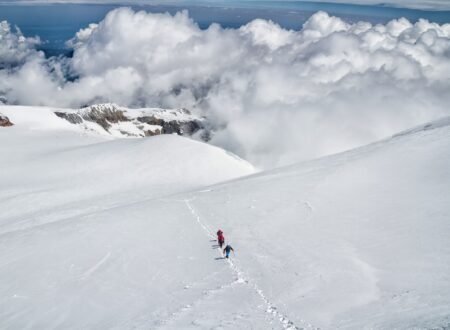Women-Only Kilimanjaro Expeditions with Eddy Tours and Safaris for 2026, 2027 or 2028
