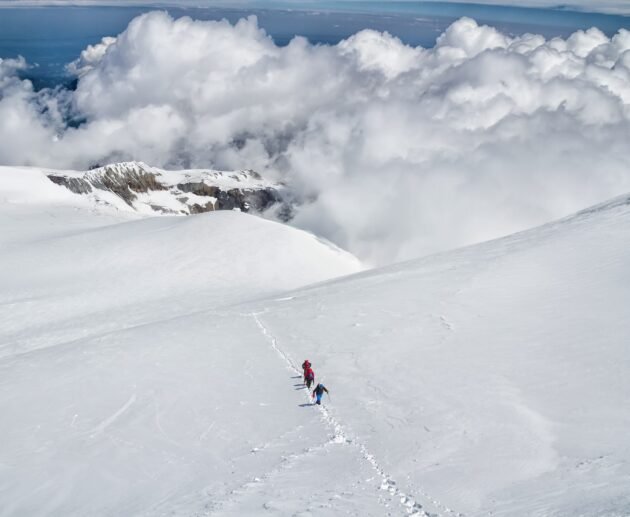 Women-Only Kilimanjaro Expeditions with Eddy Tours and Safaris for 2026, 2027 or 2028