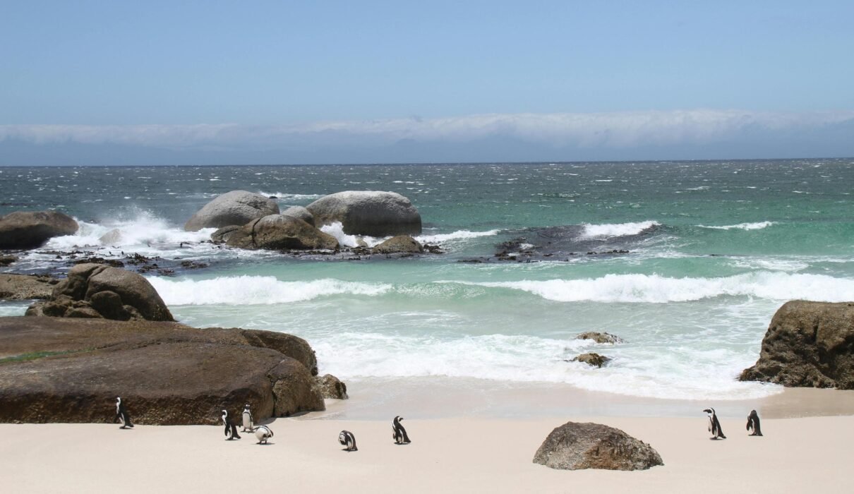 Stone Town, Zanzibar: Historic City Guide 2026/2027/2028 – 7 Powerful Reasons to Visit This Timeless Gem