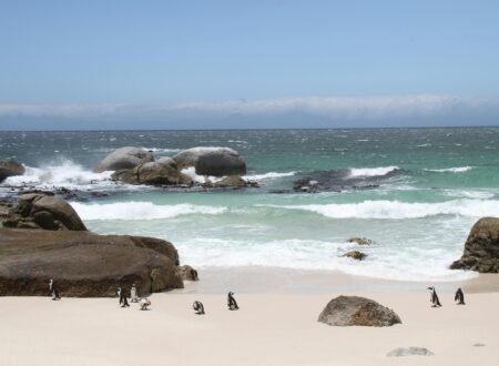 Stone Town, Zanzibar: Historic City Guide 2026/2027/2028 – 7 Powerful Reasons to Visit This Timeless Gem