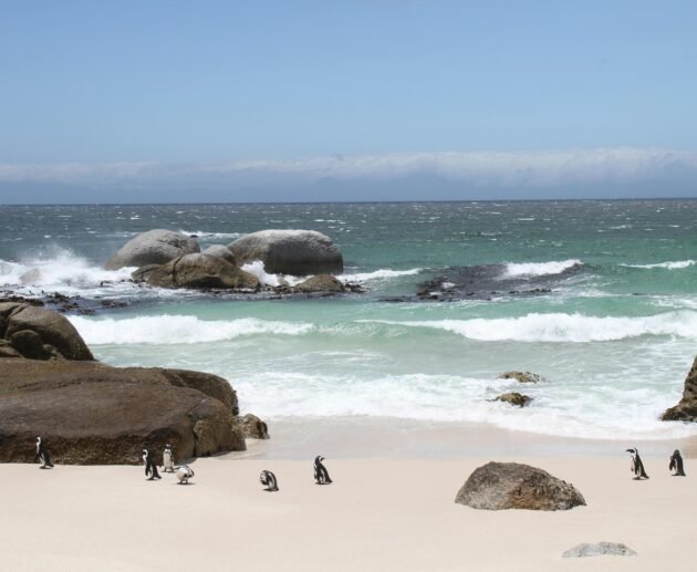 Stone Town, Zanzibar: Historic City Guide 2026/2027/2028 – 7 Powerful Reasons to Visit This Timeless Gem