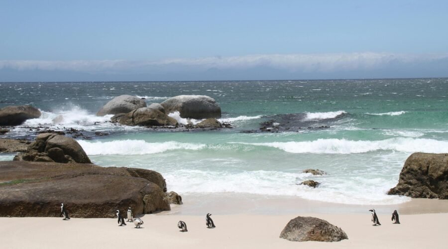 Stone Town, Zanzibar: Historic City Guide 2026/2027/2028 – 7 Powerful Reasons to Visit This Timeless Gem