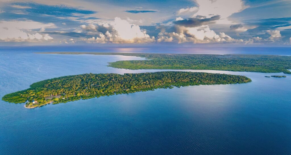 Birdwatching on Mafia Island and Tanzania’s Southern Coast: 12 Stunning Secrets for Passionate Bird Lovers