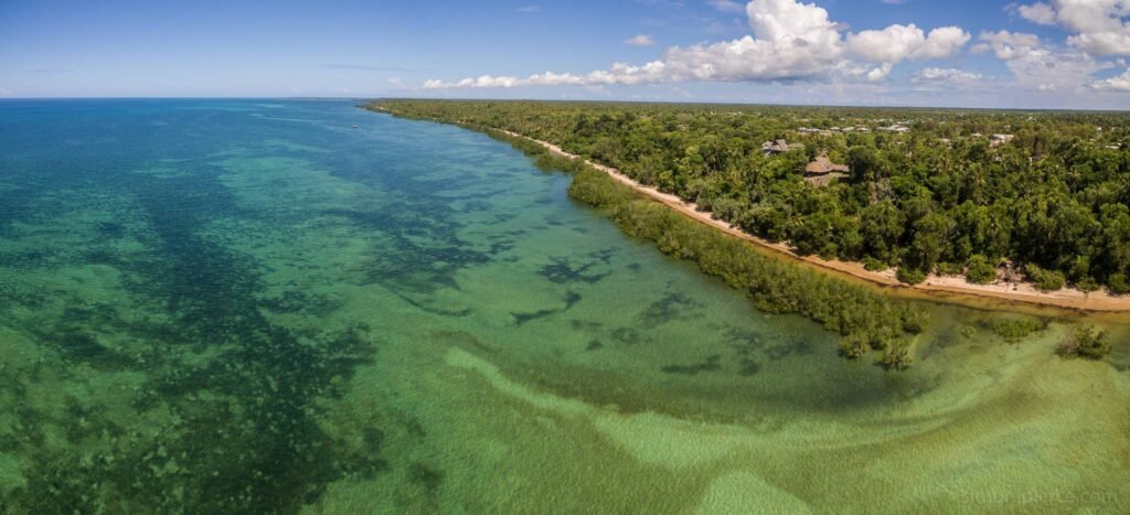 Birdwatching on Mafia Island and Tanzania’s Southern Coast: 12 Stunning Secrets for Passionate Bird Lovers