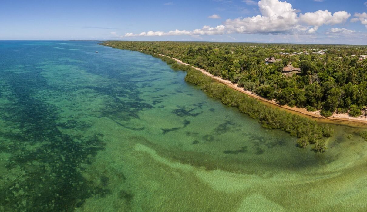 Birdwatching on Mafia Island and Tanzania’s Southern Coast: 12 Stunning Secrets for Passionate Bird Lovers