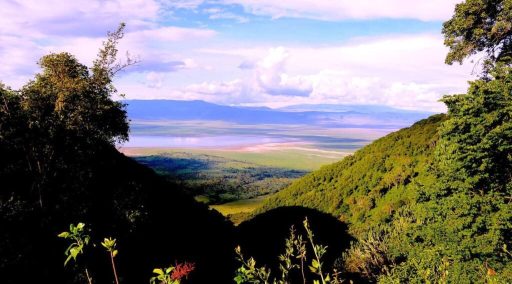 Ngorongoro Travel News 2026: Why Timing and Planning Matter More
