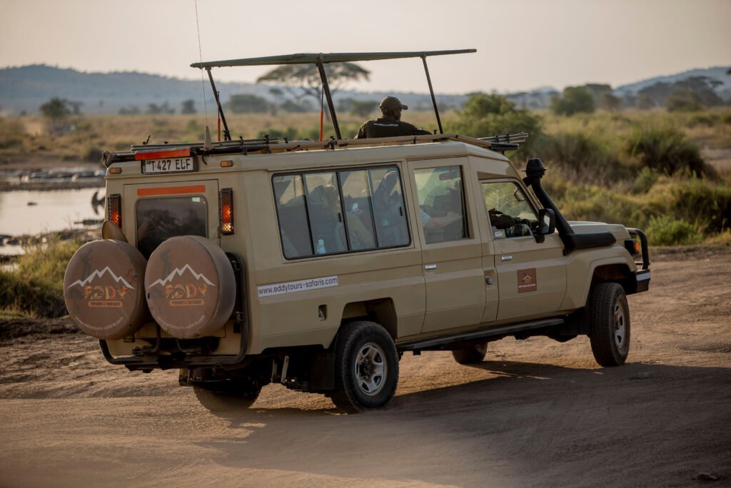 Tanzania Safari Tours – 9 Incredible Luxury & Budget Safaris for 2026/2027/2028