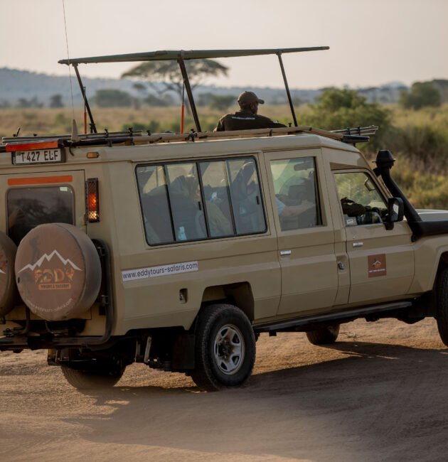Top rated Tanzania tour: 8-day Tanzania Northern Circuit Safari package – 1 Powerful Luxury Adventure 2026, 2027 & 2028