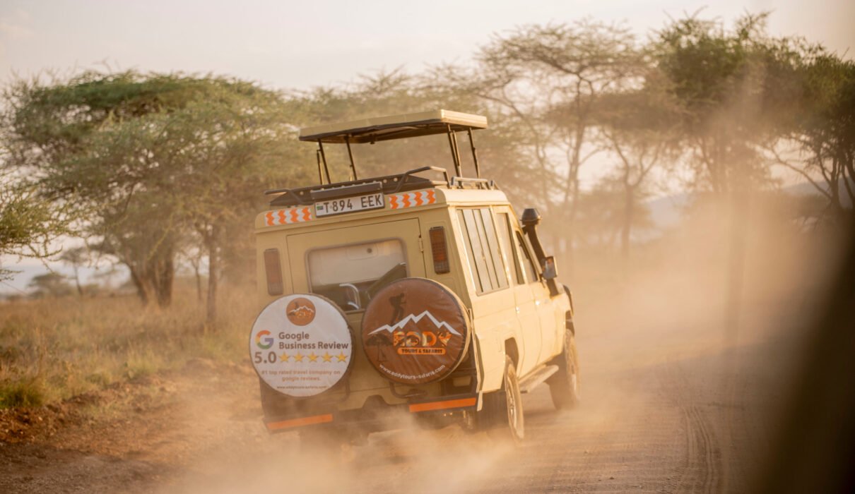 4-Day Tanzania Safari Extension: 1 Smart Way to Add Wildlife to Your Trip (2026/2027/2028)