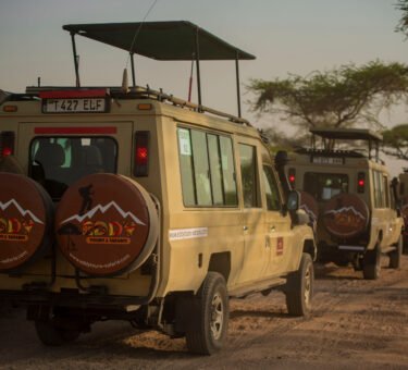 Tanzania Safari Journey Designed for First-Time Visitors 2026/2027/2028 – 7 Powerful Reasons to Book Now