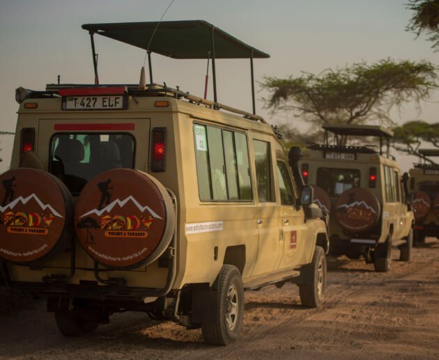 6-Day Ultimate Tanzania Safari Adventure Itinerary (from 2 people up to 6 people) – 1 Powerful Wildlife Journey 2026, 2027 & 2028