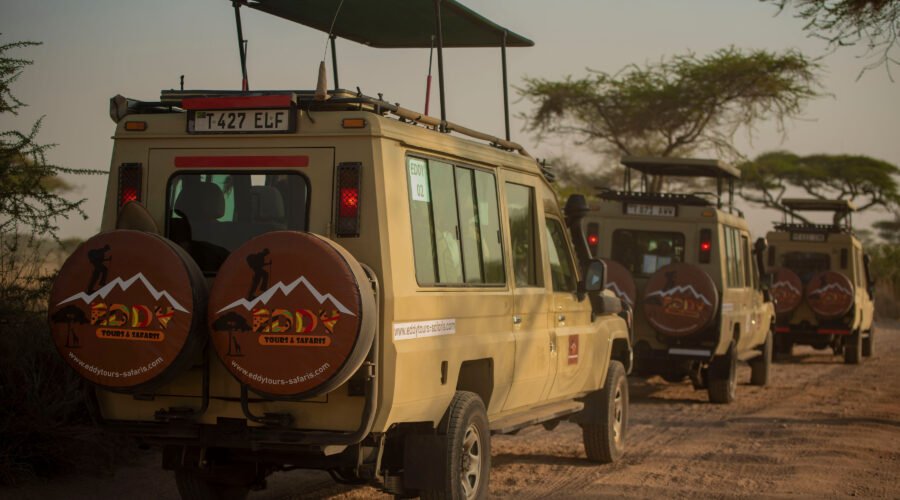 6-Day Ultimate Tanzania Safari Adventure Itinerary (from 2 people up to 6 people) – 1 Powerful Wildlife Journey 2026, 2027 & 2028