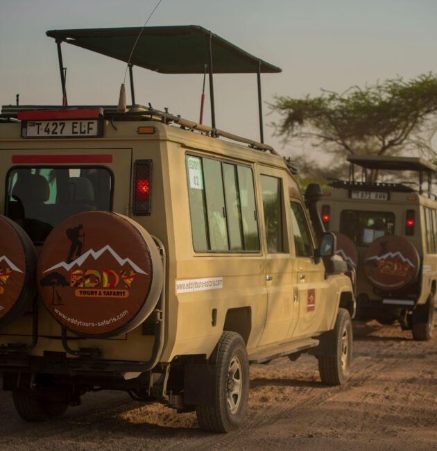 The Most Latest Tanzania Safari 2026/2027 With #1 – 1 Powerful Travel Experience 2026, 2027 & 2028