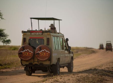6 Days Calving-Great Tanzania Serengeti – 1 Powerful Migration Safari 2026, 2027 & 2028