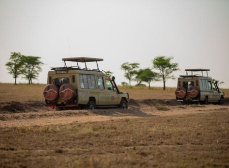 TANZANIA SAFARI | Do's & Don'ts | Planning Tips & Itinerary – 1 Smart Guide 2026, 2027 & 2028